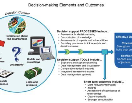 BUSINESS INTELLIGENCE IN DECISION SUPPORT SYSTEMS